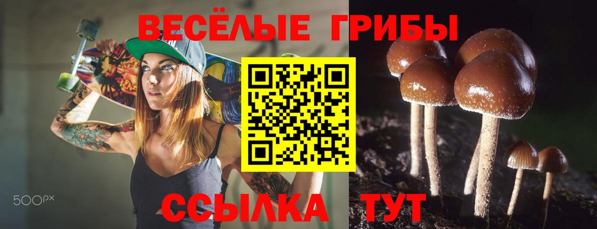 цены   Вход с VPN  Галлюциногенные грибы Psilocybine cubensis  Железноводск  Псилоцибиновые грибы Magic Shrooms 